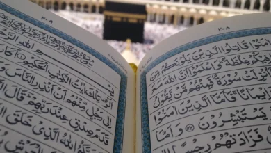 أكاديمية زاد العلمية